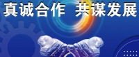 没有带来“临时工”当盾牌